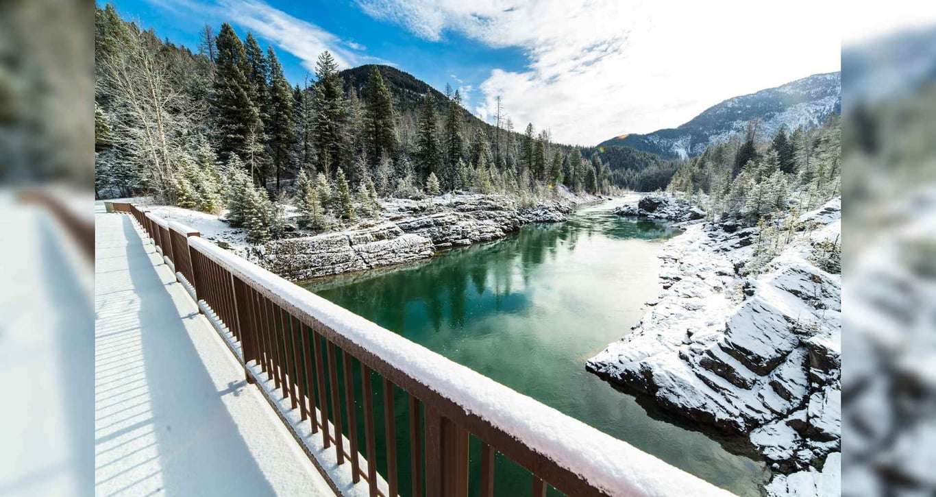 Glacier Park Winter Driving Tour & Snowshoe Combo image