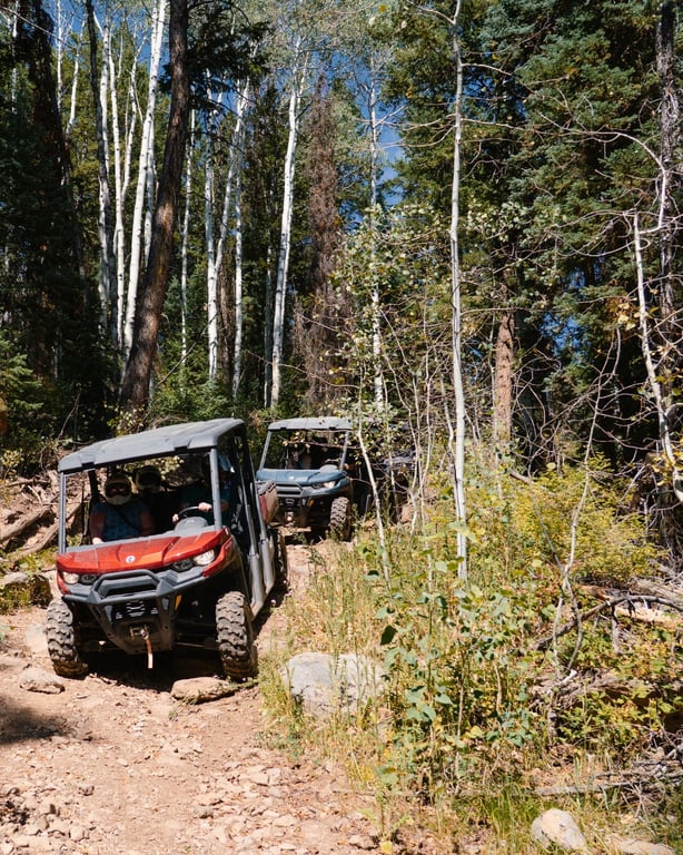 UTV Off Road Adventure and Dinner Tour at Bair Ranch: 3-Seater Tour Image 2