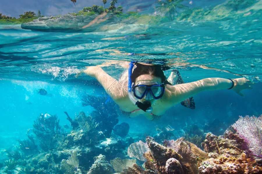 A snorkeler exploring vibrant coral reefs, immersing themselves in the beauty of the underwater world.