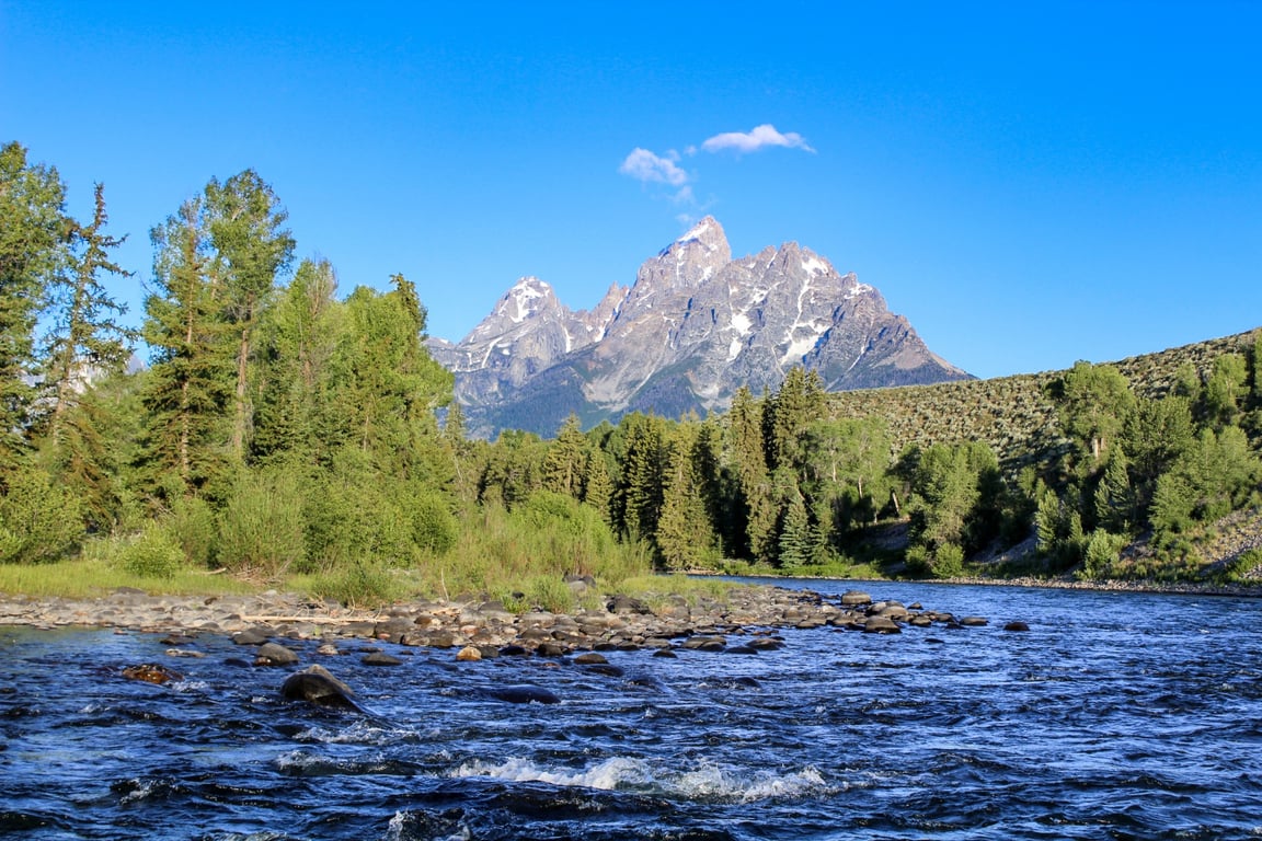 Teton View Scenic Float Tour Image 2