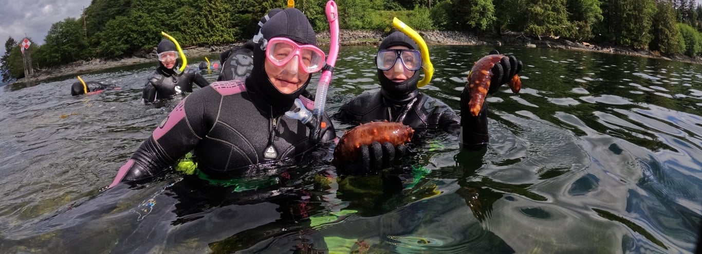 Mountain Point Snorkeling Adventure image