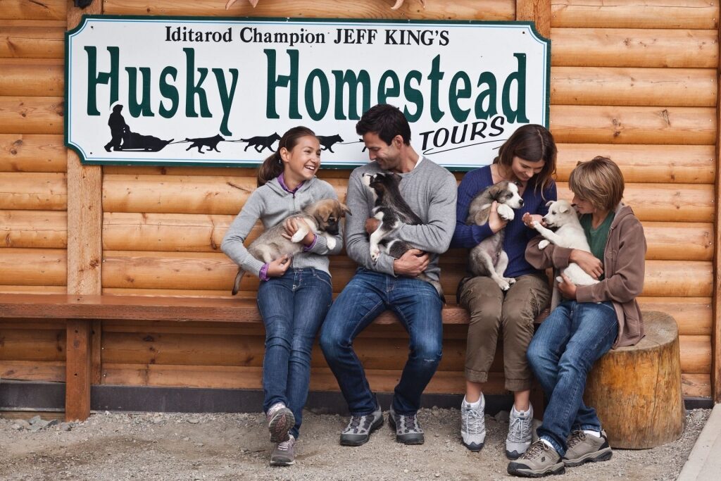 Denali Husky Homestead Experience image