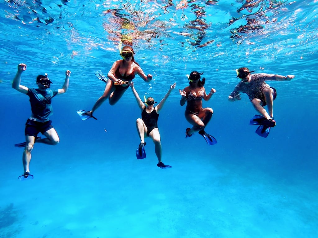 Cozumel Snorkeling Tour: Palancar, Colombia & El Cielo Reefs Tour Image 6