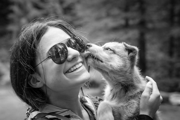 Seward Wilderness Dog Sled Ride & Tour Tour Image 3