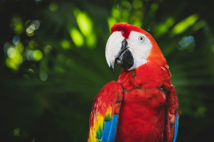 Xcaret Park: Our Expert Visitor's Guide