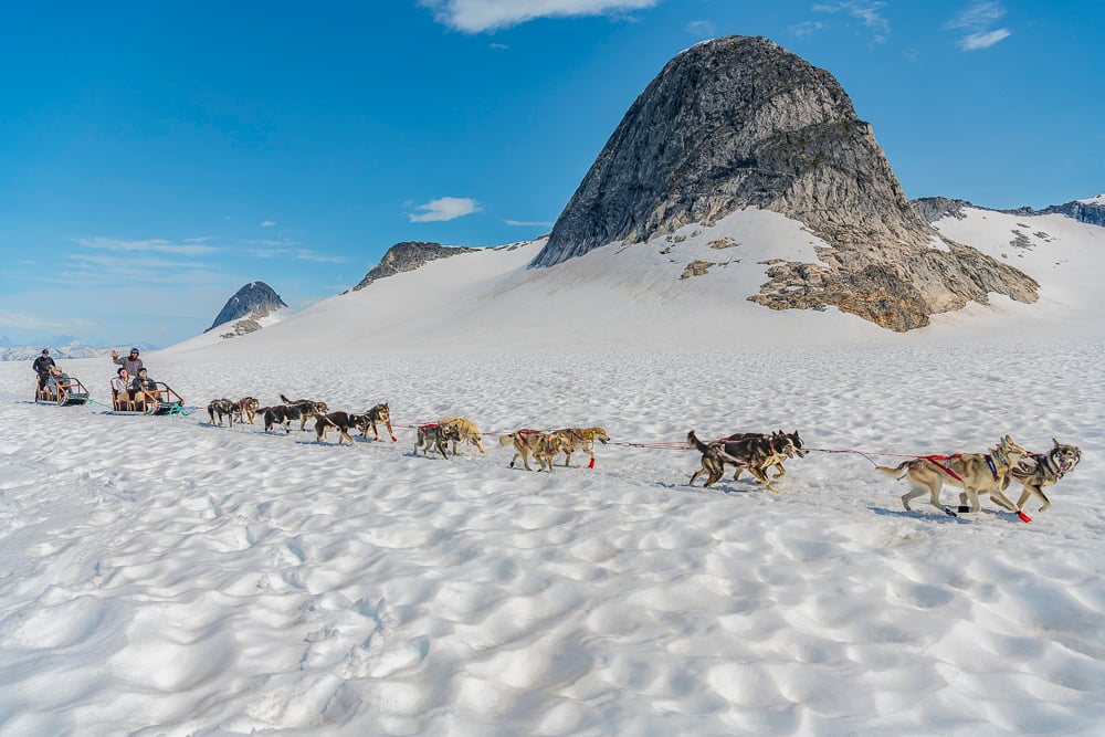 Glacier Dog Sled Adventure image