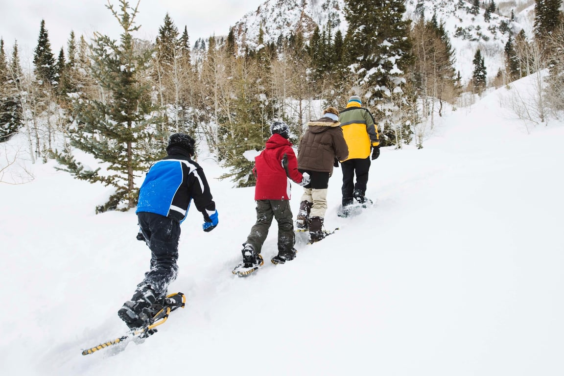 Guided Snowshoe Tour - Full Day Tour Image 7
