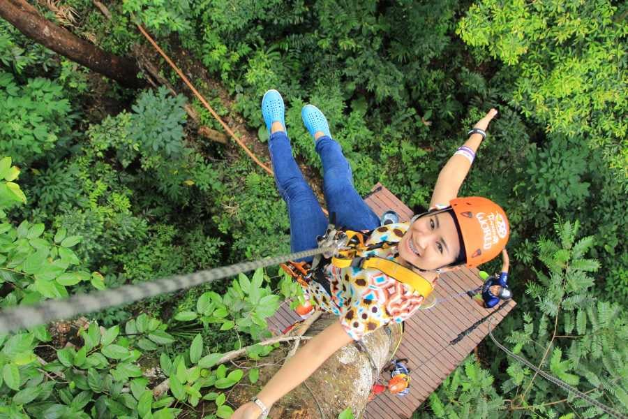 Adventurer soaring through the treetops on a thrilling zipline ride above lush green jungle.