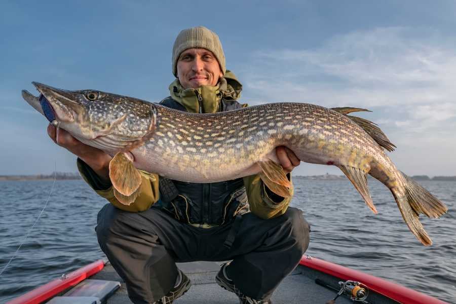 Proud fisherman shows off a massive catch on a calm day out on the water.