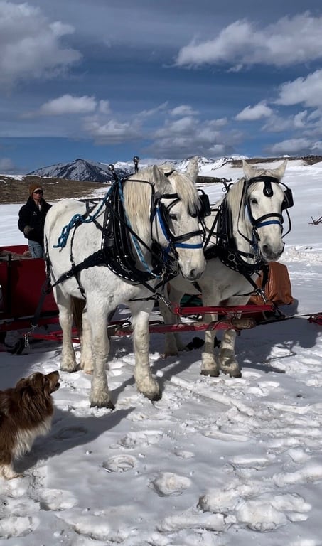 Magical Sleigh Ride review image 0