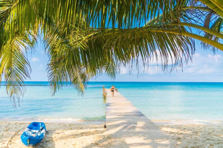 A tranquil wooden pier leading into clear blue water, framed by lush palm fronds and a kayak on the sand.