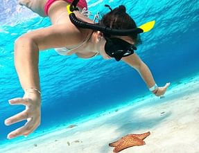 Snorkel & Turtle Sanctuary Catamaran Tour Image 5