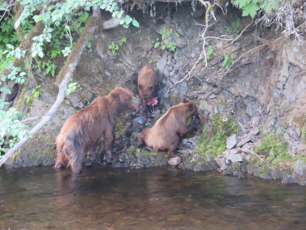 Guided Passenger Van Wildlife & Scenery Tour Tour Image 7