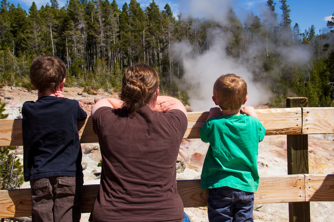 Private Old Faithful & Lower Loop From West Yellowstone Tour Image 3