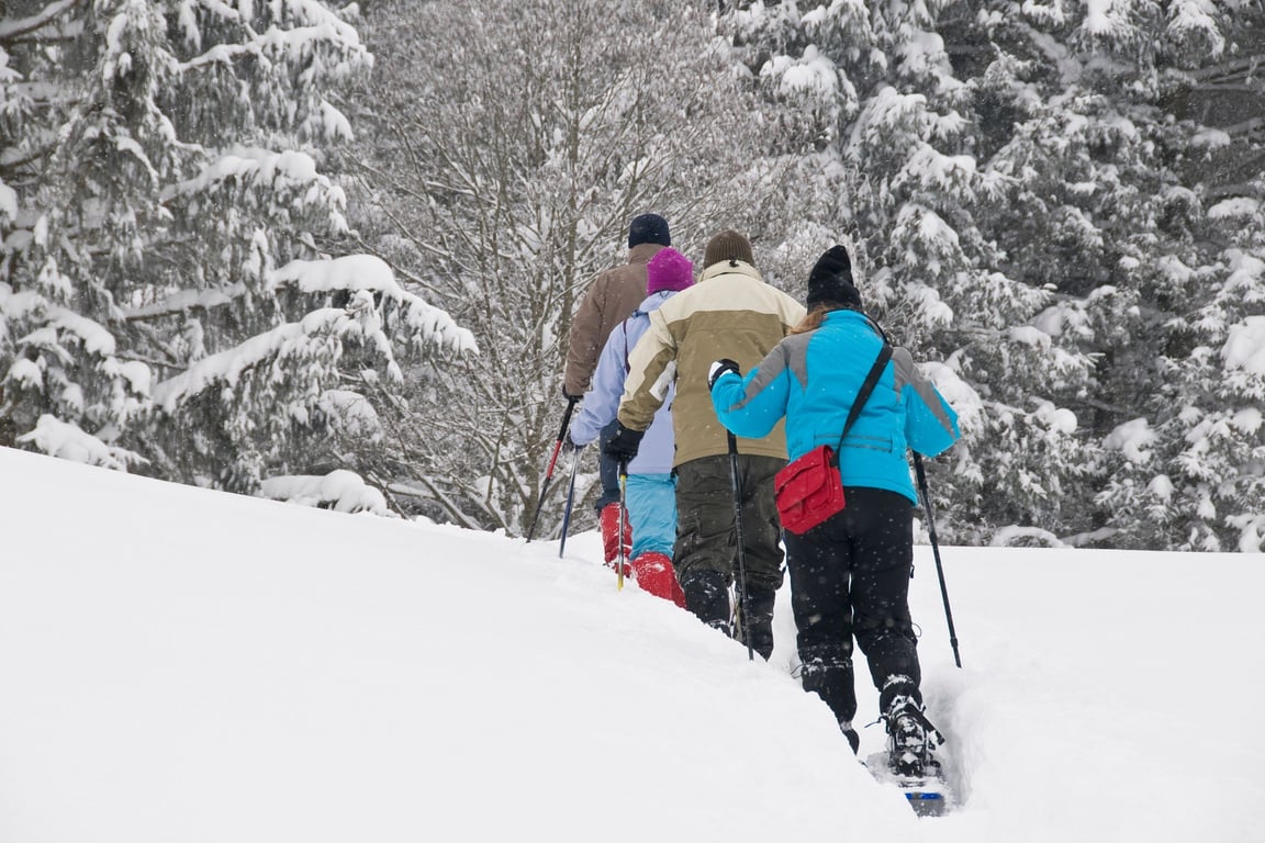 Guided Snowshoe Tour - Full Day Tour Image 11