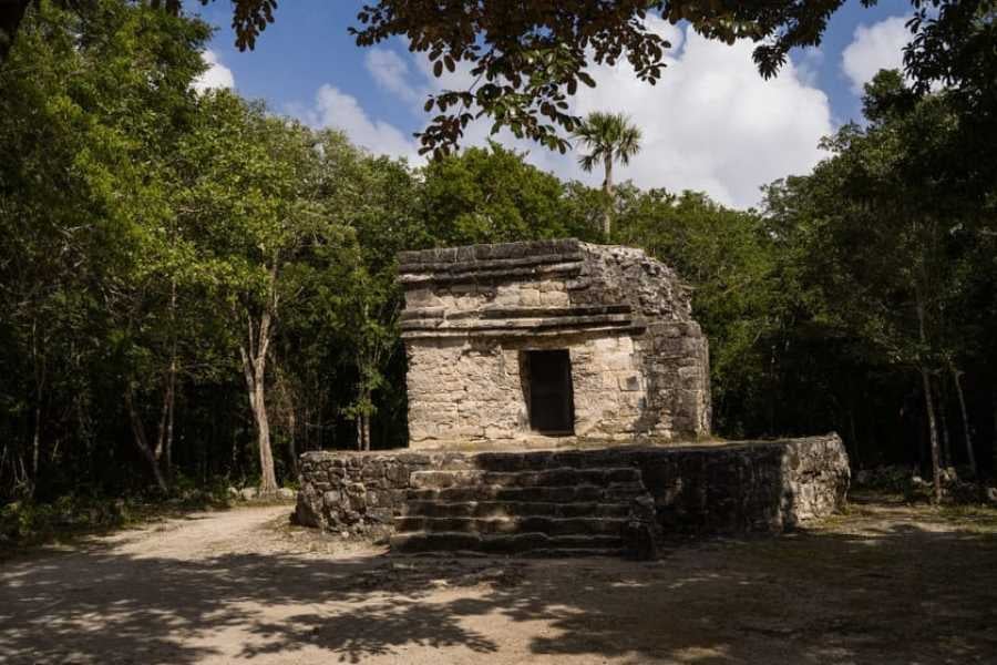 A small, weathered stone temple sits peacefully in the jungle, surrounded by green trees and a quiet dirt path.