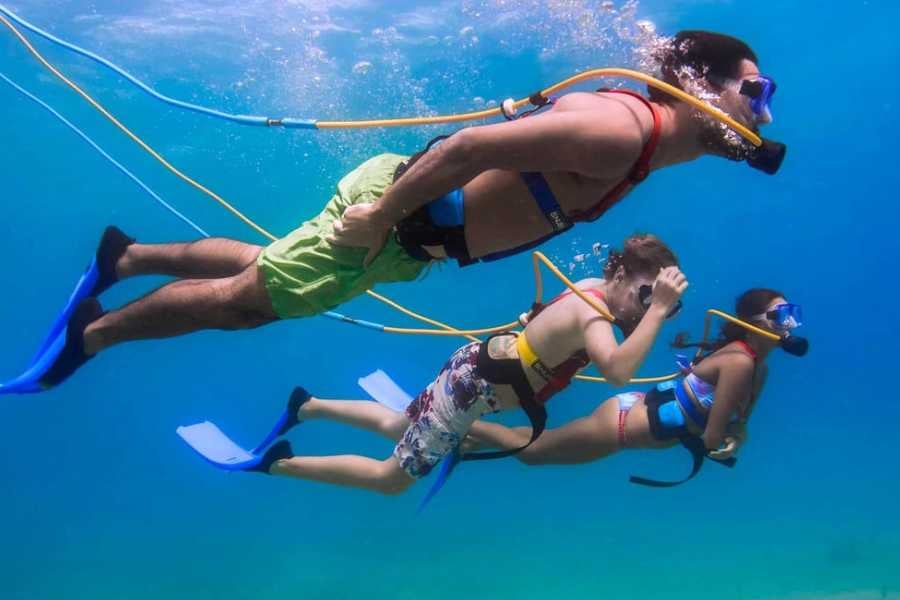 Underwater adventurers explore the ocean with breathing lines, observing vibrant marine life up close in crystal-clear waters.