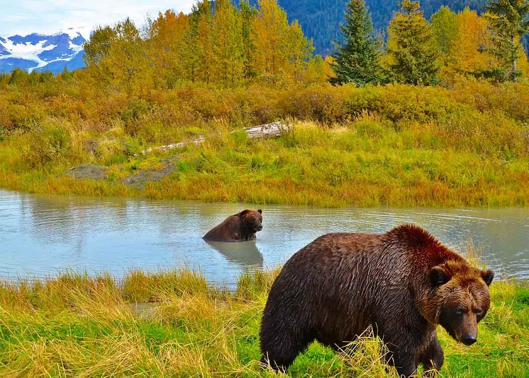 Our Local Expert's Guide to Chugach State Park