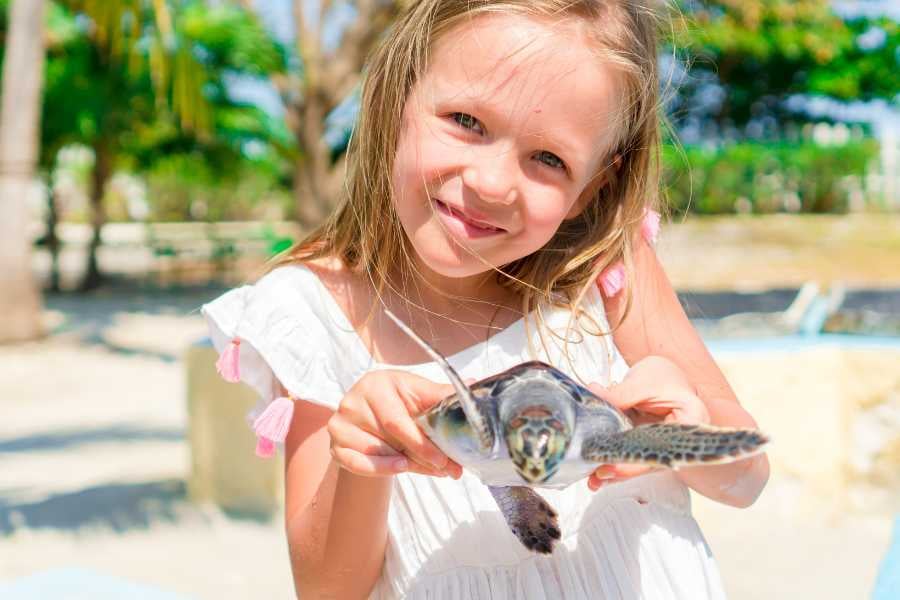 A smiling girl holds a baby turtle in her hands on a sunny day.