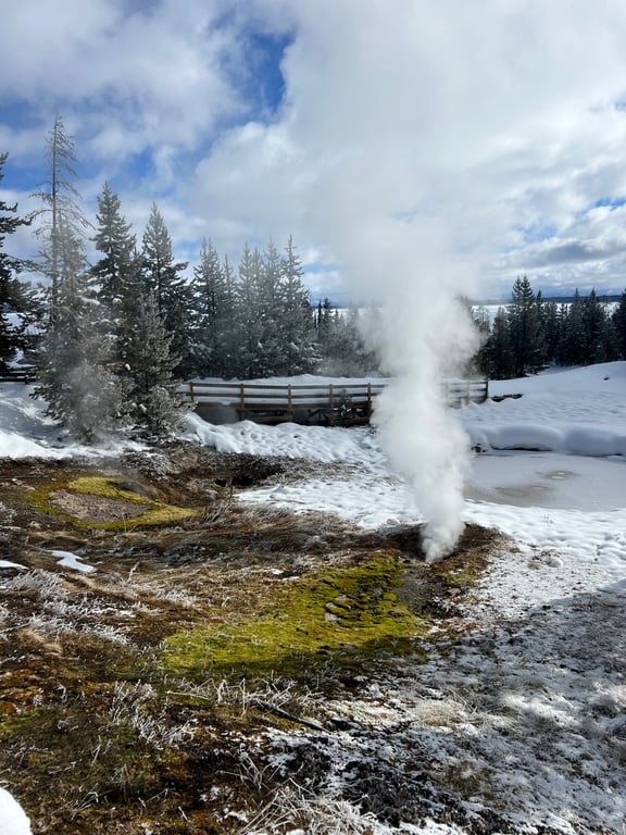 Yellowstone Snowcoach to Old Faithful Tour Image 9