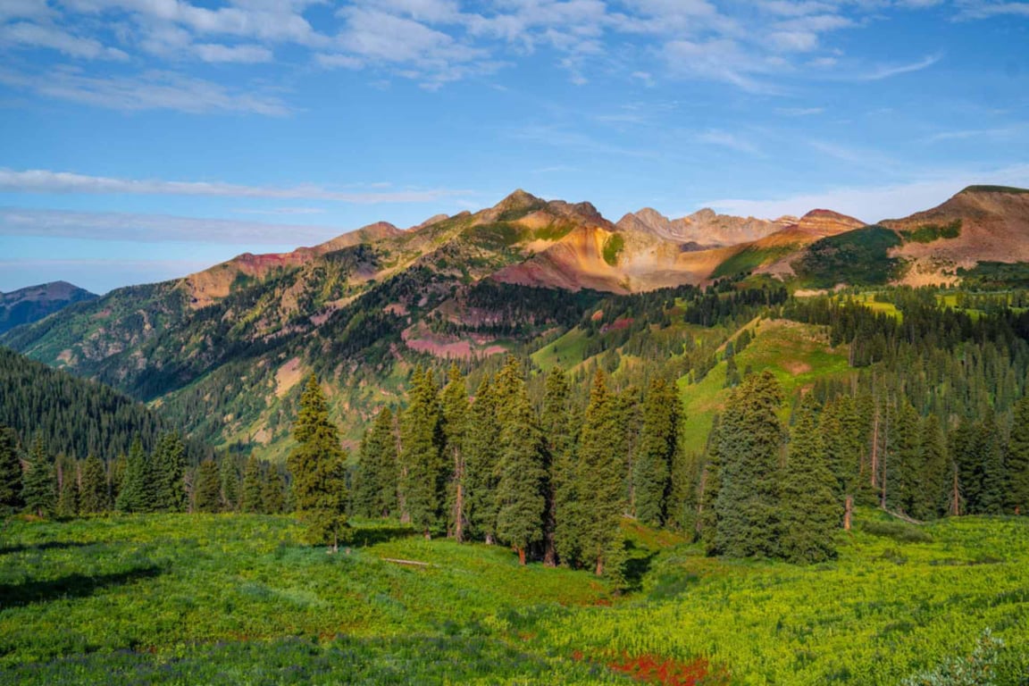 Half Day Silverton Jeep Tour Tour Image 6
