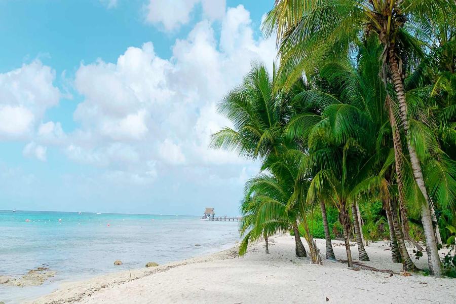 Weather in Cozumel: What to Expect in Every Season