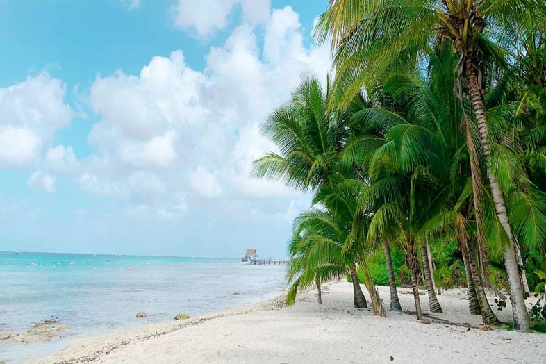 Cozumel Beach Scene