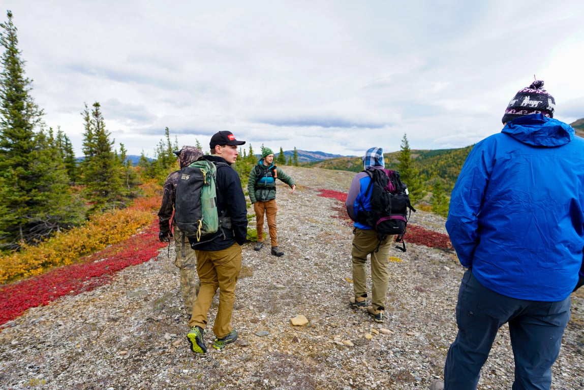 Denali Wilderness Survival Tour Tour Image 2
