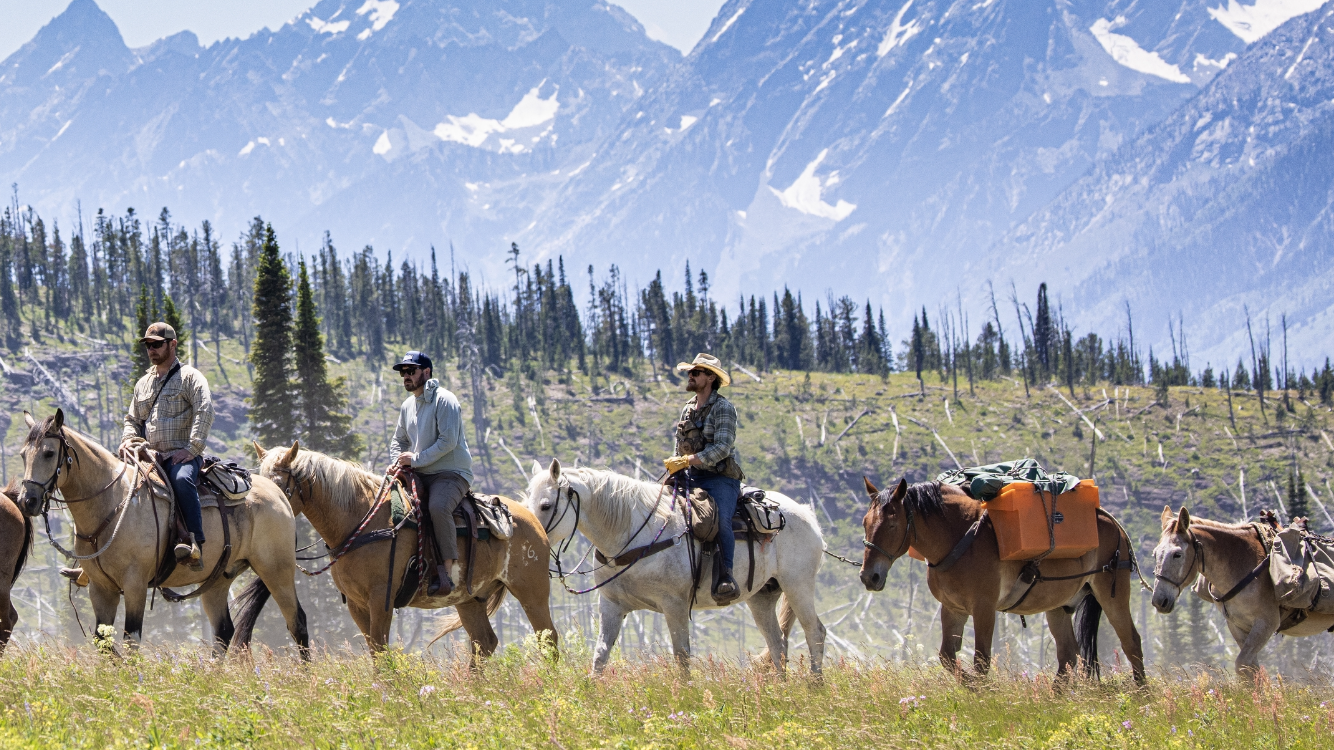 Horseback & Grand Teton Tour image