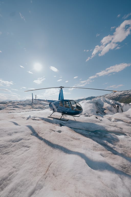 Knik Glacier Helicopter & Polar Plunge Tour Tour Image 8