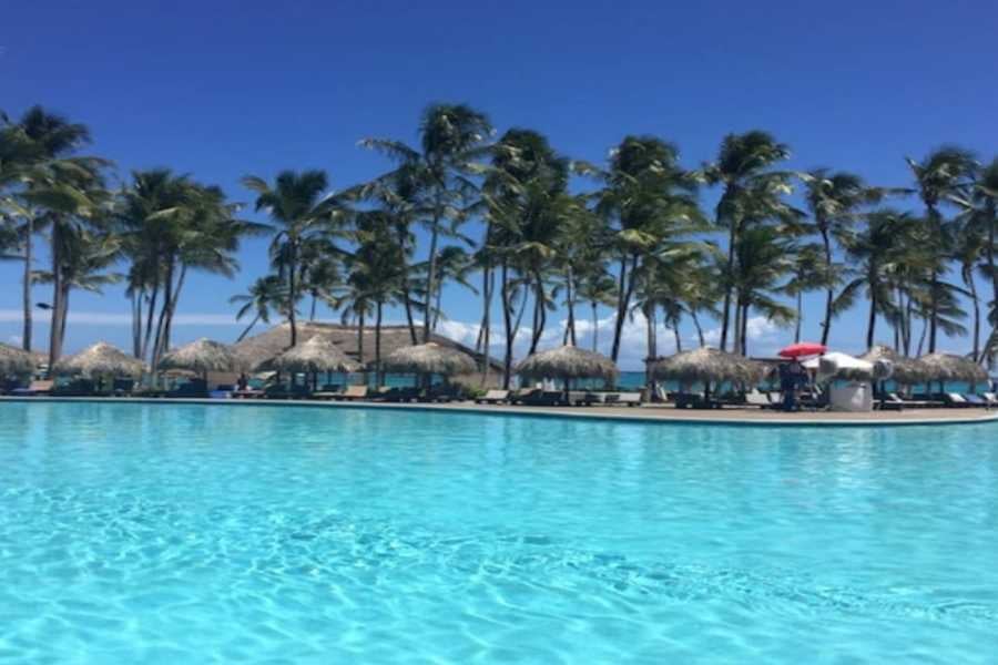 A clear resort pool surrounded by palm trees, offering a relaxing tropical getaway.