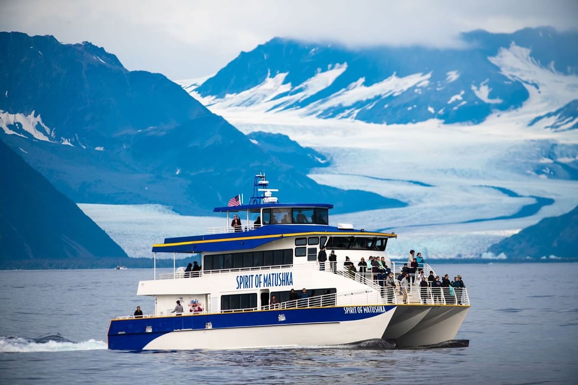 4 Hour Kenai Fjords Wildlife Cruise Tour Image 7