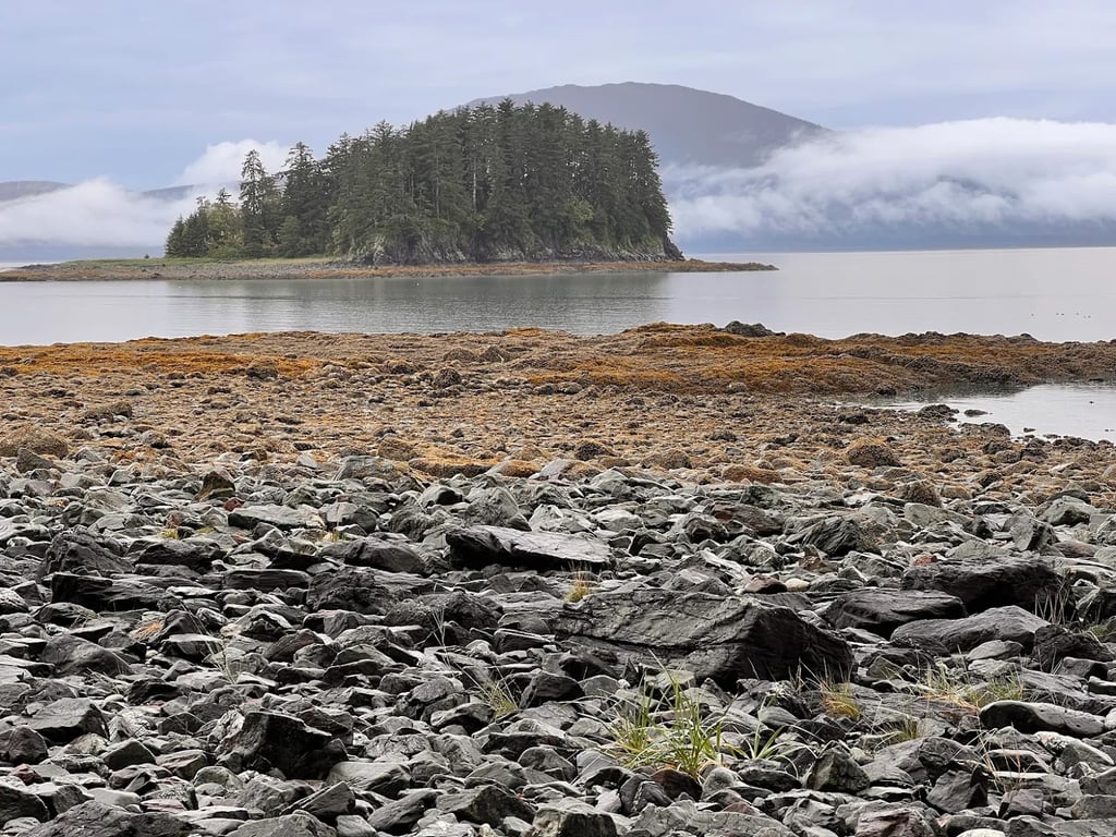 Juneau Rainforest E-Bike Adventure image