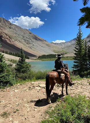 Horseback Trail Rides Private Half Day Tour Image 6