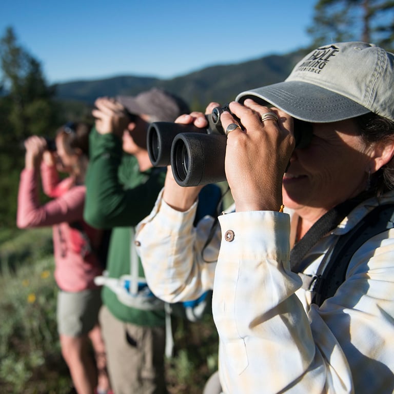 Sunrise Wildlife Drive + Walk Tour Image 4
