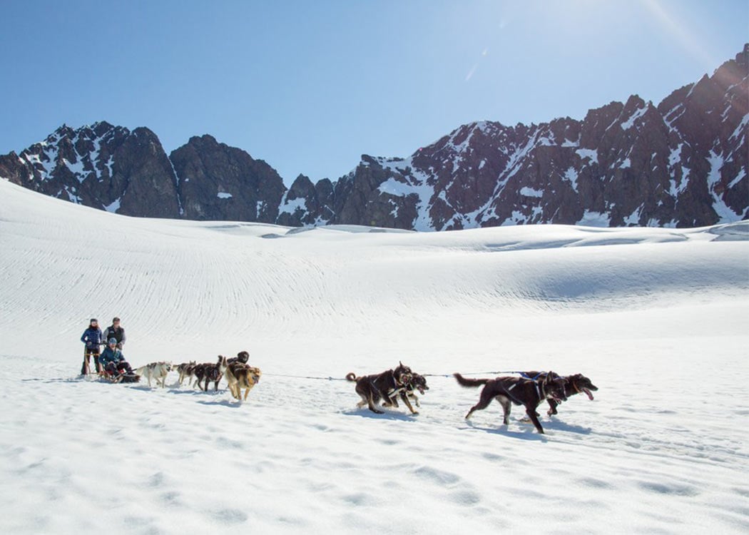 Anchorage Helicopter Glacier Dogsled & Lower Glacier Landing With Transportation Tour Image 7