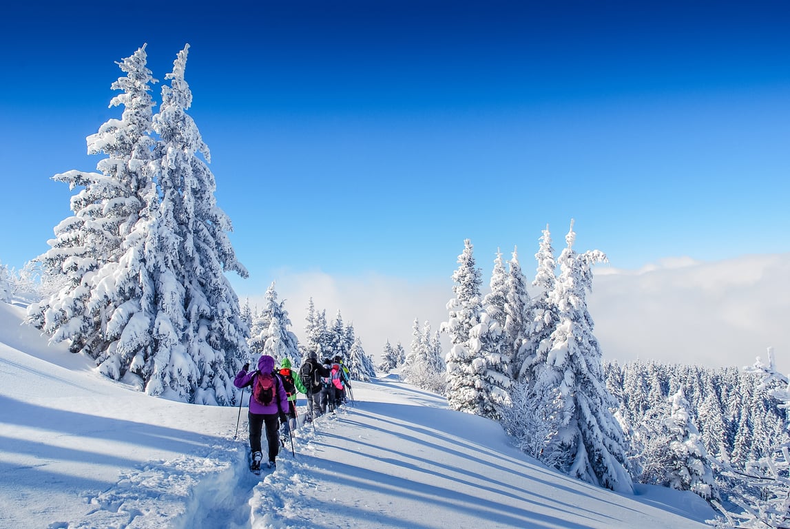 Explorer Half Day Snowshoe Tour Image 2