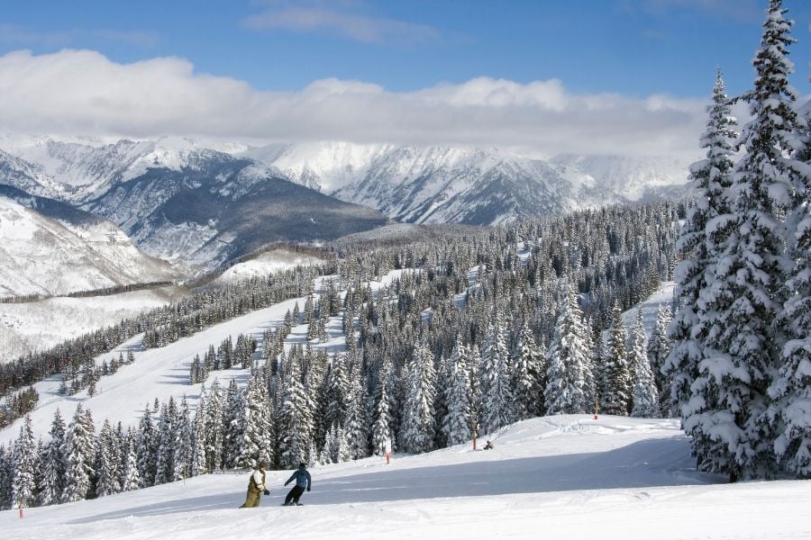 Skiers glide down wide slopes surrounded by snow-covered pine trees and mountains.