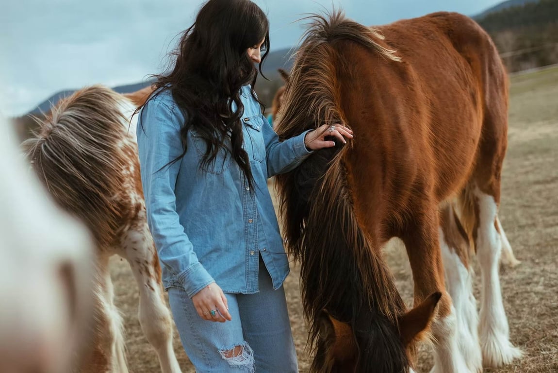 Clydesdale Horseback Riding Tour Image 6