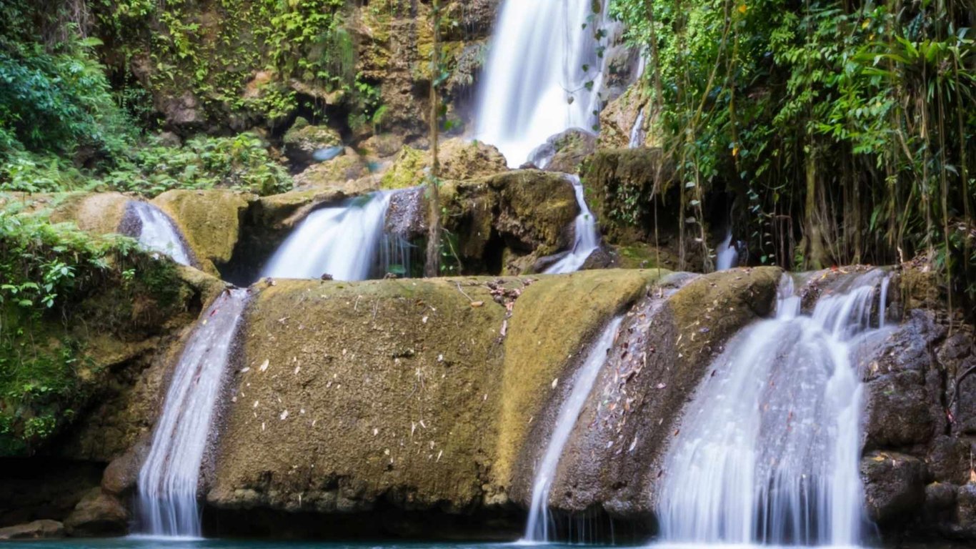 Appleton Estate, Black River & YS Falls Combo Tour Image 3