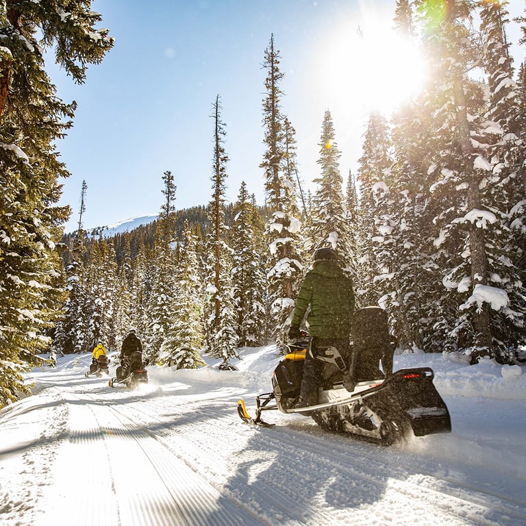 Alpine Express Two Hour Snowmobile Tour Tour Image 11