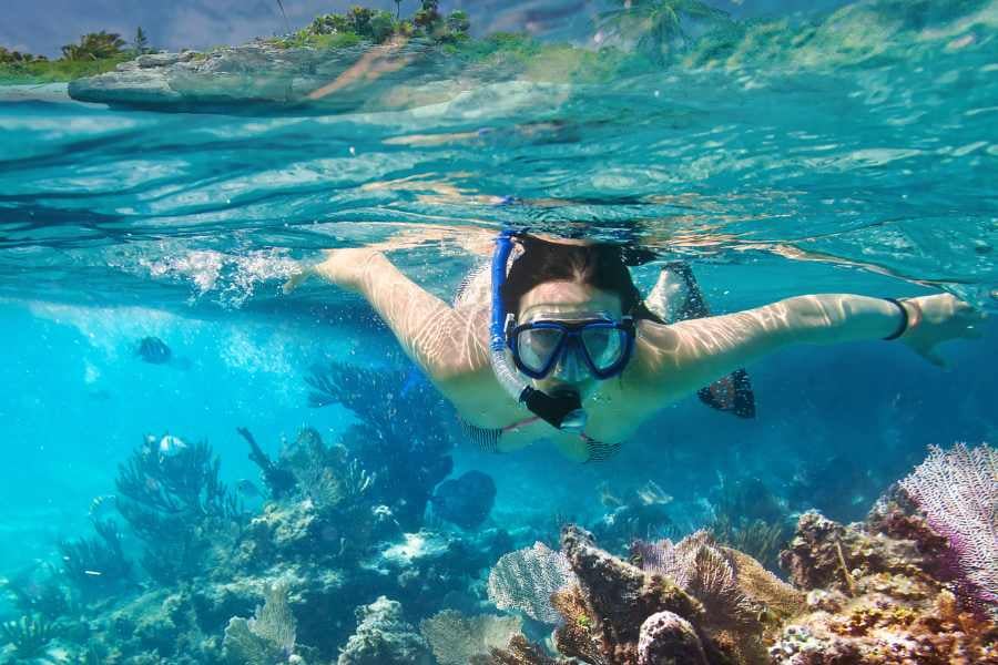 Snorkeler explores a vibrant coral reef, swimming alongside tropical marine life in clear blue waters.