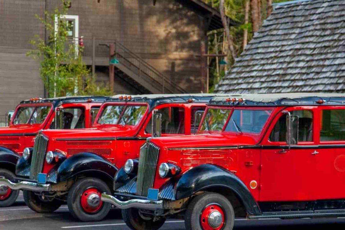 Guide: Red Bus Tours In Glacier National Park image