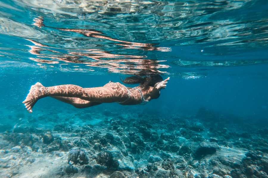 A swimmer exploring the underwater world, surrounded by clear water and vibrant marine life.