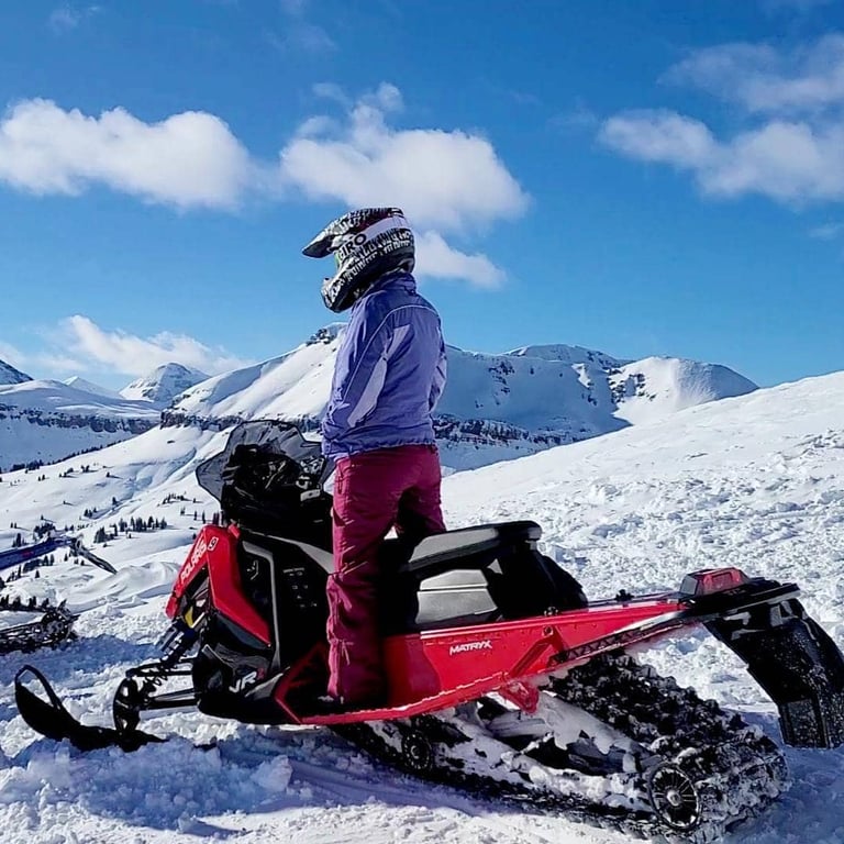 Full Day Snowmobile Tour Near Durango Tour Image 4