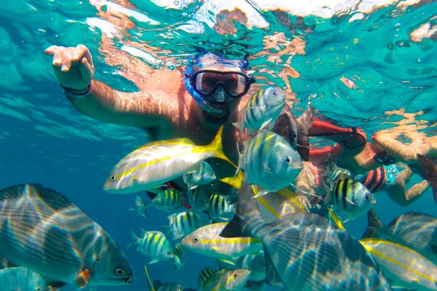 Which Cozumel Jeep Excursion Is Right For Me?