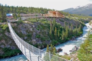 Yukon Suspension Bridge & Summit Tour Tour Image 3