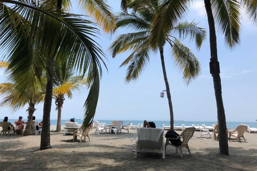 Cozy beach setting with chairs under swaying palms, ideal for enjoying the ocean breeze.