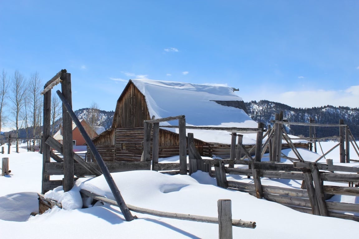 Private Winter Grand Teton Day Tour Tour Image 7