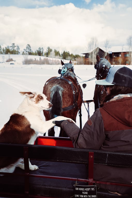 Snake River Ranch Sleigh Ride Tour Image 10